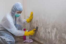 Marlton, NJ Mold Remediation Company